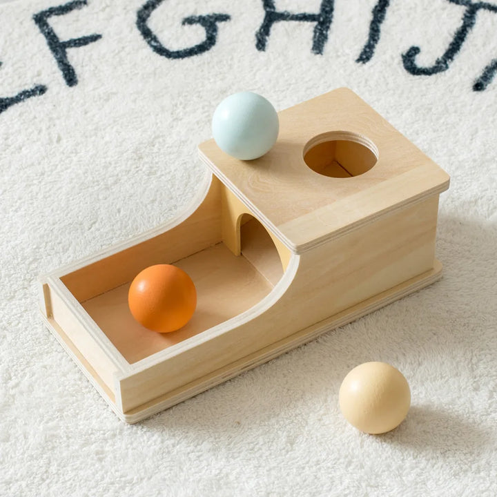 Montessori Wooden Sensory Toy