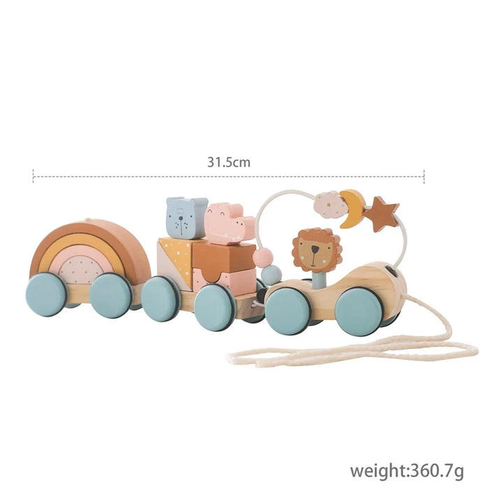 Wooden Montessori Toys Baby Educational