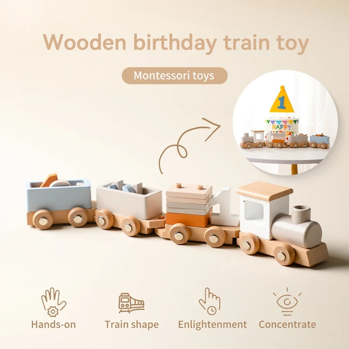 Wooden Montessori Toys Baby Educational