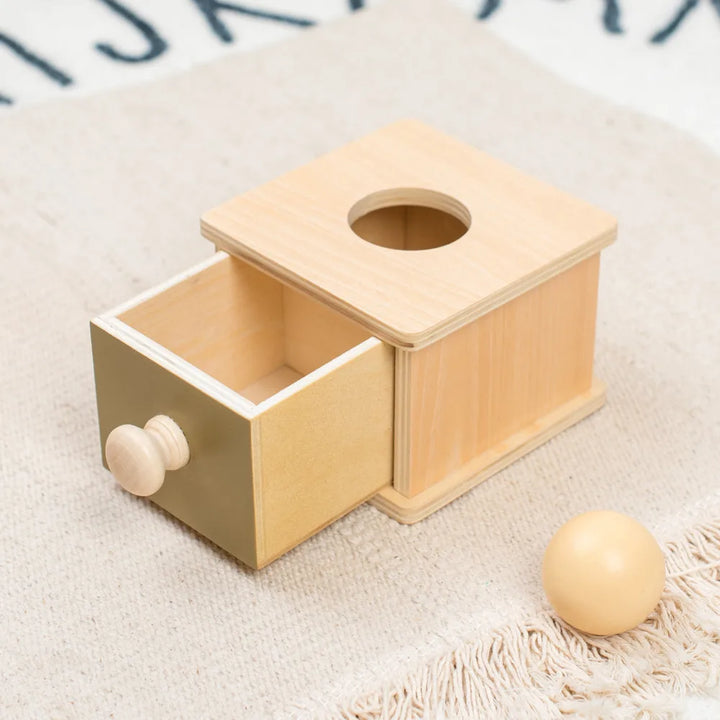 Montessori Wooden Sensory Toy